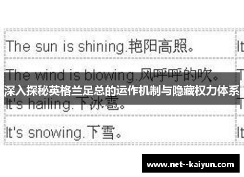 深入探秘英格兰足总的运作机制与隐藏权力体系